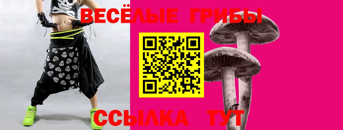 Галлюциногенные грибы мицелий  цены наркотик  Уварово  Вход с VPN  Псилоцибиновые грибы GOLDEN TEACHER 